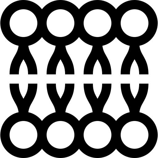 Lipid Profile